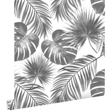 behang tropische bladeren zwart wit