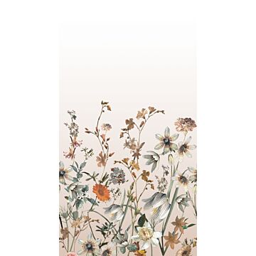 fotobehang veldbloemen multicolor